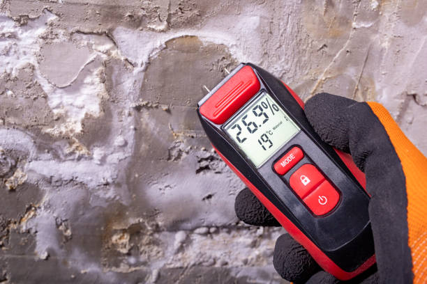 Best Certified Mold Removal  in Hildebran, NC