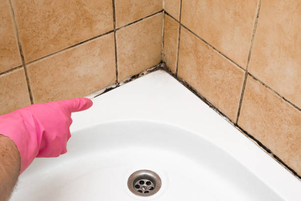 Hildebran, NC Mold Removal Company